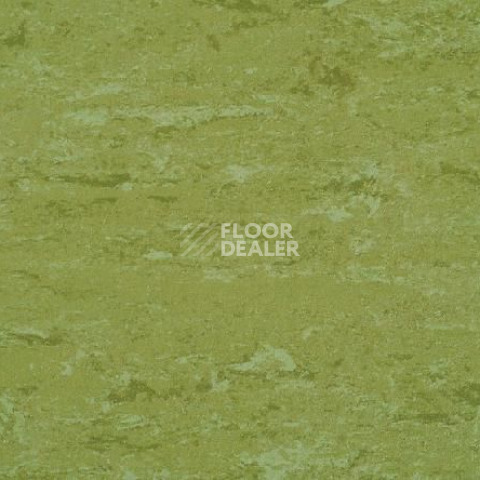 Линолеум Gerflor Linodur Sport 1011 Avocado Green фото 1 | FLOORDEALER